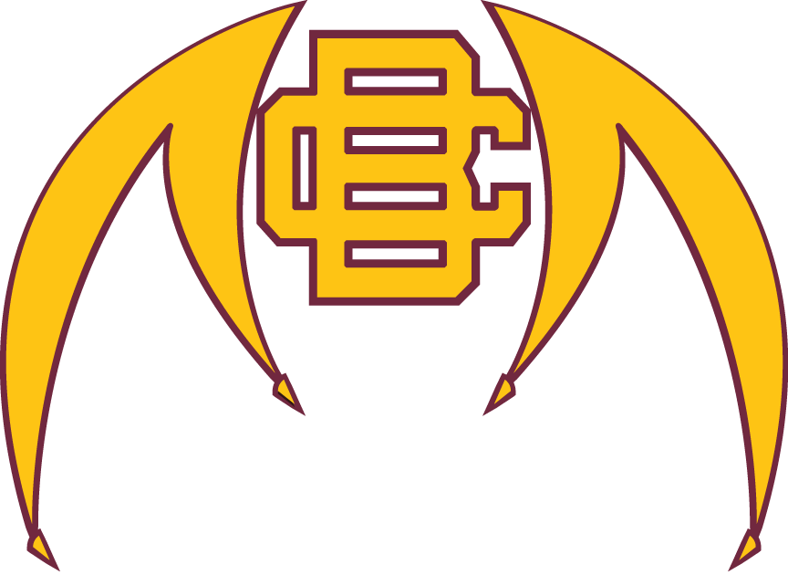 Bethune-Cookman Wildcats 2010-Pres Alternate Logo diy fabric transfer